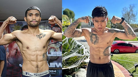 Marlon Tapales and Mark Magsayo are the highest-rated Filipino fighters in the latest ratings released by the WBC.
