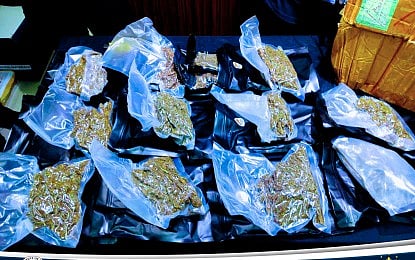 High-grade kush seized at CMEC
