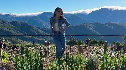 Northern Blossom Flower Farm at Atok, Benguet.