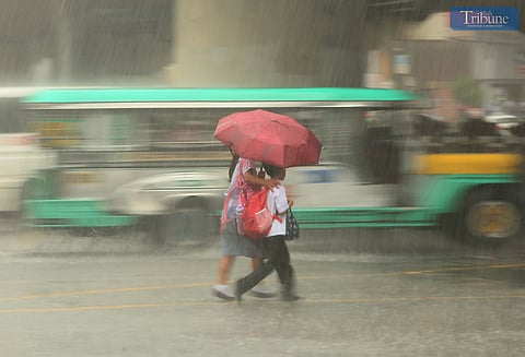 On Monday, 17 February 2025, people passing along Edsa in Quezon City used umbrella protection from the rain, due to the continued effects of the northeast monsoon and the shear line, while DOH Assistant Secretary Albert Domingo said on an interview about QC dengue outbreak, that frequent downpour of rains have contributed to the increase dengue cases  in the City, as the additional stagnant water left behind created a breeding ground for mosquitoes. 
