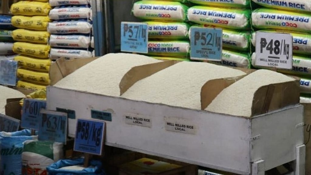 P49 imported rice price set