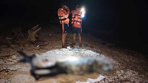 Quezon lifts temporary diving ban following Russian divers’ tragic accident