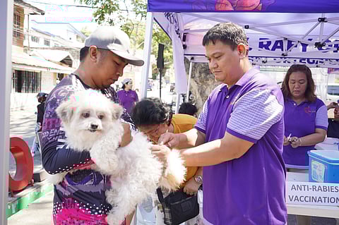 Pet owners took advantage of free anti-rabies vaccinations and spaying services for their animals during the 175th anniversary celebration of La Union