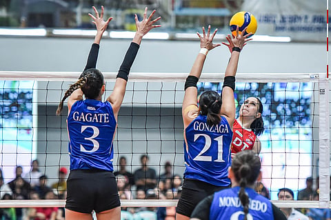 PLDT’s Savi Davison spells trouble for ZUS Coffee when they face off in the PVL All-Filipino Conference qualifiers.
