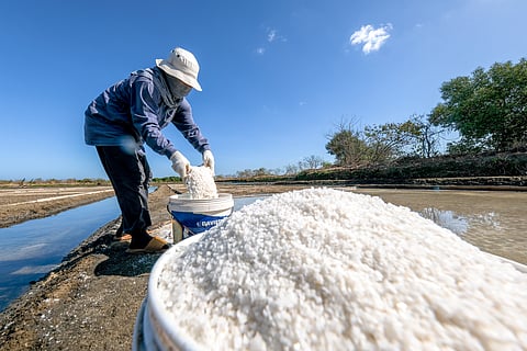 CHRISTINA Robles, 52, a dedicated salt farmer from Cavite, carefully gathers freshly made batches of salt on her three-hectare property.