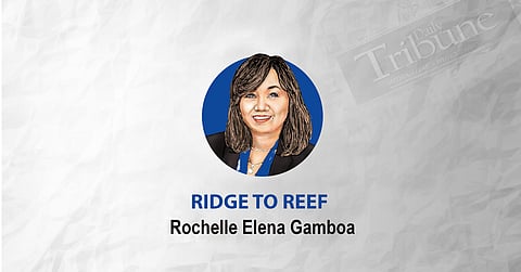 From fear to fascination of the Philippines’ blue forests