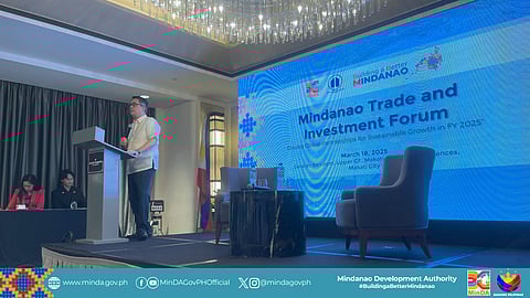 Chairperson Leo Tereso Magno