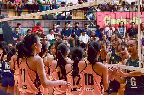 University of Southern Philippines Foundation and University of San Carlos spikers get to test their mettle against the best players in the south with the introduction of the V-League Visayas.