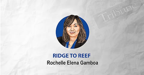 Rochelle Elena Gamboa