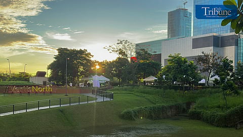 Summer-inspired celebration in Vertis North