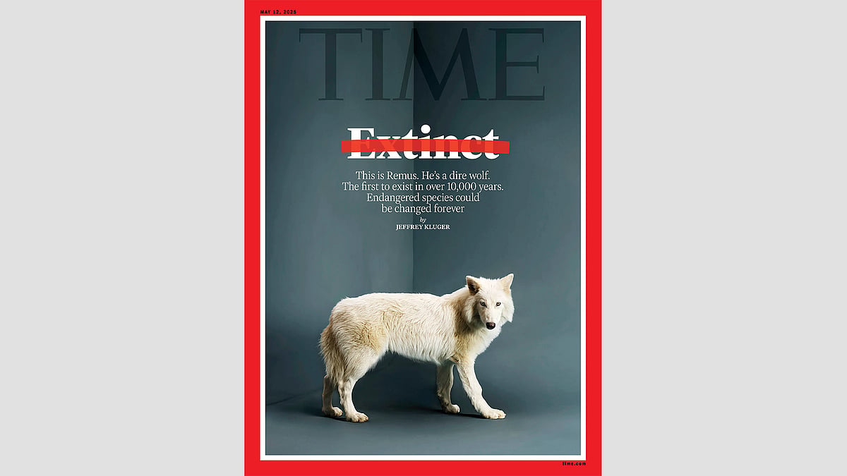 Dire Wolves Magazine Romulus and Remus: The First Dire Wolves in 10,000 Years