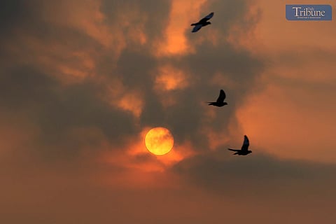 A hazy sunrise paints the sky at 6 AM in Caloocan City, Friday,  11 April 2025.