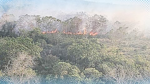 Arayat blaze A devastating forest fire scorches parts of the breathtaking Mount Arayat over the weekend, leaving a trail of destruction. The Provincial Disaster Risk Reduction and Management Office of Pampanga is closely monitoring the situation, as the flames continue to impact the area.
