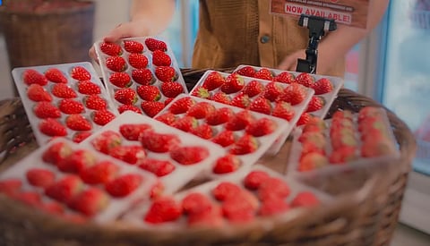 Crafted with the highest standards of Japanese agriculture, Japanese strawberries are a masterpiece of craftsmanship and nature. Experience the sweet, refreshing bliss of this jewel-like berry, now available in the Philippines. 