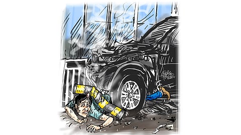 Bollard bull, canard