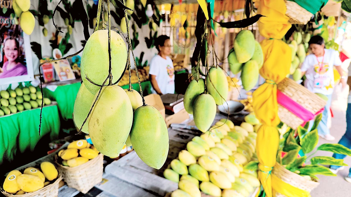 Zambales celebrates Dinamulag Festival