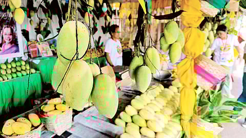 A vendor sells the best of Zambales mangoes during the annual summertime Dinamulag Mango Festival.