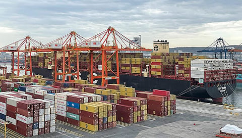 The MSC Daria at BCT