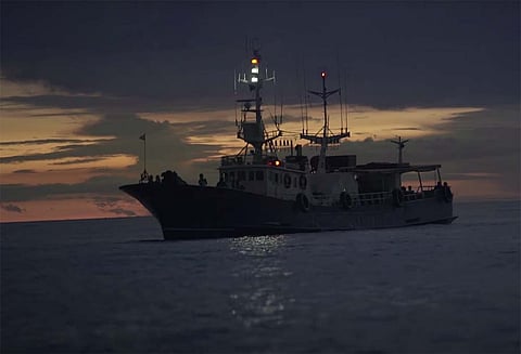 Mega Prime seeks more vessels for growing market
