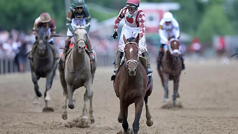 Jockey Umberto Rispoli celebrates on Journalism after his victory in the Preakness Stakes at Pimlico in Baltimore, Maryland 