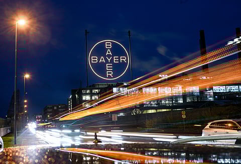 The logo of German chemical and pharmaceutical giant Bayer is pictured at the group's plant in Leverkusen, western Germany on November 25, 2024.