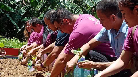 KENJI Sugiyama (3rd from right), a board trustee of Okada Manila, an integrated resort in Parañaque City, Metro Manila, joins the planting of eggplant seedlings in the vegetable garden of Gawad Kalinga village in Barangay Hugo Perez, Trece Martires, Cavite on 22 May, as part of the company’s support for the scholarship program of GK’s educational arm, the School for Experiential and Entrepreneurial Development Philippines. With Sugiyama are GK executive director Daniel Bercasio, SEED director Mark Lawrence Cruz and Okada Manila’s corporate communications staff. 