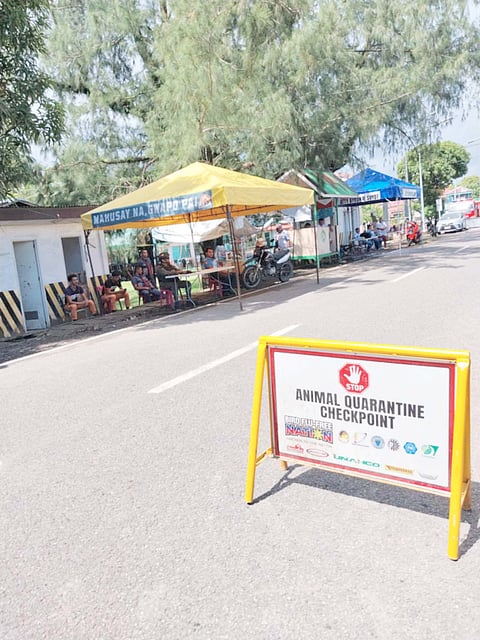 CHECKPOINTS in barangays Bugas and Camada, Borongan’s northern and southern borders, respectively, were set up to contain African swine fever cases in the city. 