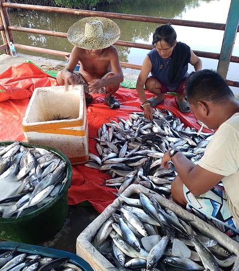 Toledo fisherfolk slam Tanon Strait commercialization