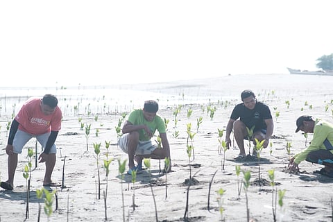 Through One For Trees, people’s organizations like Kalibo Save the Mangroves Association (KASAMA) can plant more mangroves in their ecopark.
