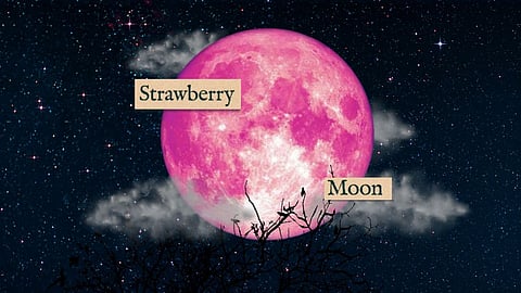 THE Strawberry Moon, while not pink or red in color, is known for casting a warm hue as it hangs low on the horizon.