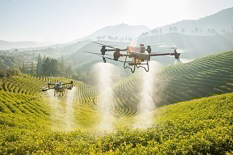 The Agras T50 is a flagship of efficiency and stability, born from a deep understanding of the demands of large-scale farming. It inherits a coaxial dual-rotor design and 54-inch propellers for next-level stability when carrying 40 kg spraying or 50kg spreading payloads, which enables efficient spraying of up to 50 acres (21 hectares) per hour.
