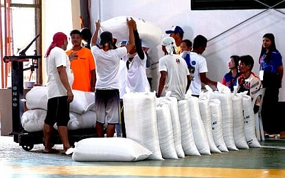 Gradual rice tariff hike mulled — DA