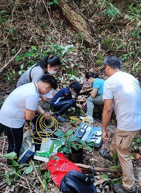 PGHI Project staff measuring onsite groundwater quality using a multimeter in one of the forested sites in Ilocos Sur.