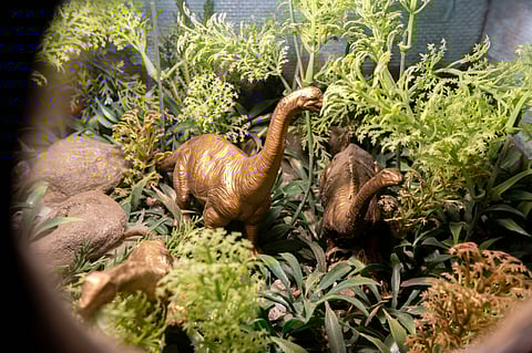 Family-friendly dino exhibit opens in Ilocos Norte