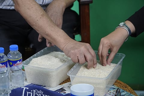 Philippine Orchard Corporation to launch Tisay Rice for health, affordability