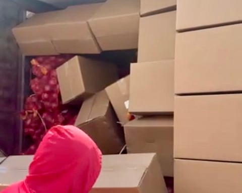 INSPECTORS uncover crates of fresh red onions concealed in a shipment declared as frozen goods at the Mindanao International Container Terminal in Misamis Oriental, part of a P2-million smuggling attempt intercepted by DA and BOC authorities.