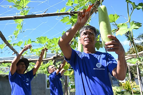 SM Foundation’s Kabalikat sa Kabuhayan farming program equips smallholder farmers with hands-on training in backyard and small-scale agriculture, helping boost food security and livelihood in local communities.