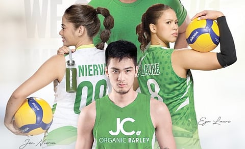 JC Organic Barley