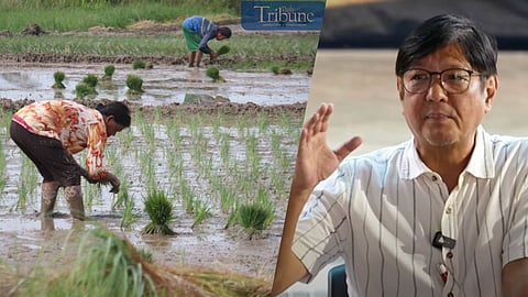 President Ferdinand Marcos Jr. says incorporating technology in agriculture can entice the younger generation to pursue a farming career.