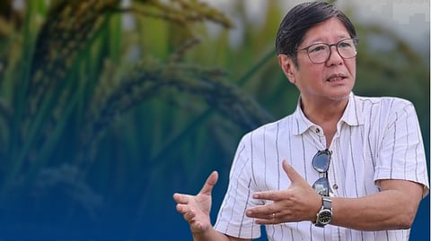 Marcos: Palay prices should be P18, not P8