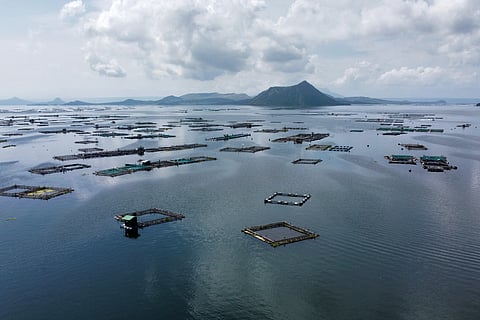 Catching ‘fish’ A number of names have cropped up in the case of the missing sabungeros where a search for alleged remains of victims has been ongoing in Taal Lake. While big names have surfaced, courtesy of whistleblower Totoy Patidongan (inset), here may be more coming as the investigations continue.