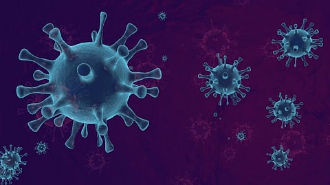 Schools urged vigilance vs HFMD