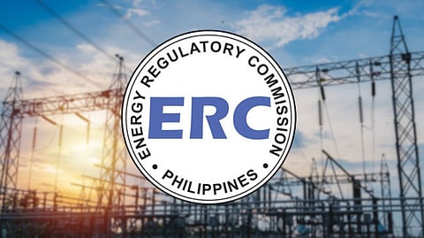 Energy pro takes helm at ERC