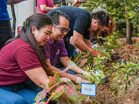 Fragrance of hope Megaworld Hotels and Resorts representatives plant Sampaguita seedlings near the Project PEARLS Learning Center.