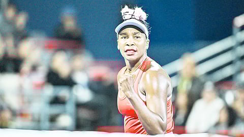 VENUS WIlliams will be making a return from a 16-month layoff when she competes in the DC Open at the William H.G. FitzGerald Tennis Center in Washington. 