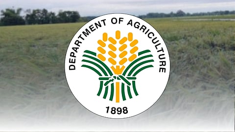 DA gearing for P2-B Mindanao farm road push