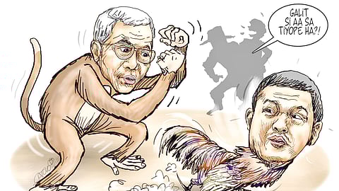 Torre raring to box, but is Baste chickening out?