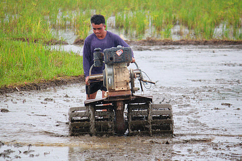 A farmer plows his land in Morong, Bataan.