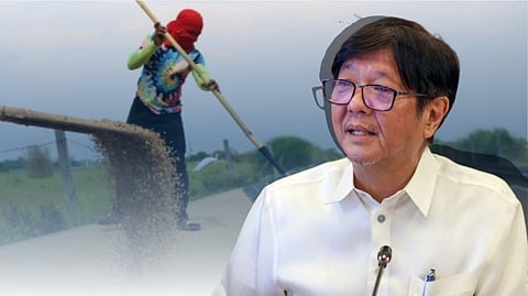 President Ferdinand Marcos Jr.