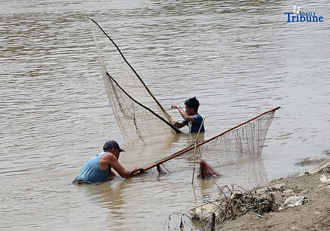 A fisherman uses traditional methods to catch freshwater tilapia at Marikina River Park in Marikina City on Wednesday. After weeks of rainfall, locals turn to fishing as a way to supplement their daily food supply.